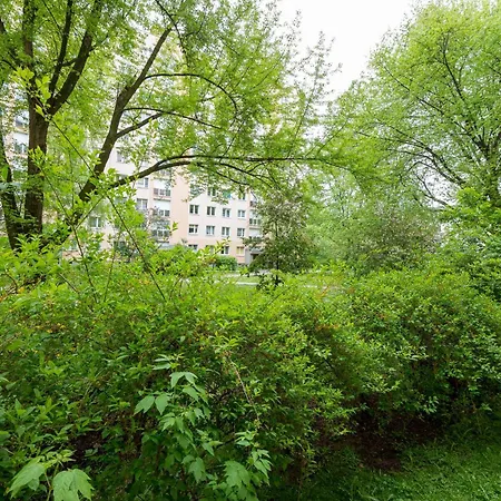 Wola Mila Standard By Bookinghost *